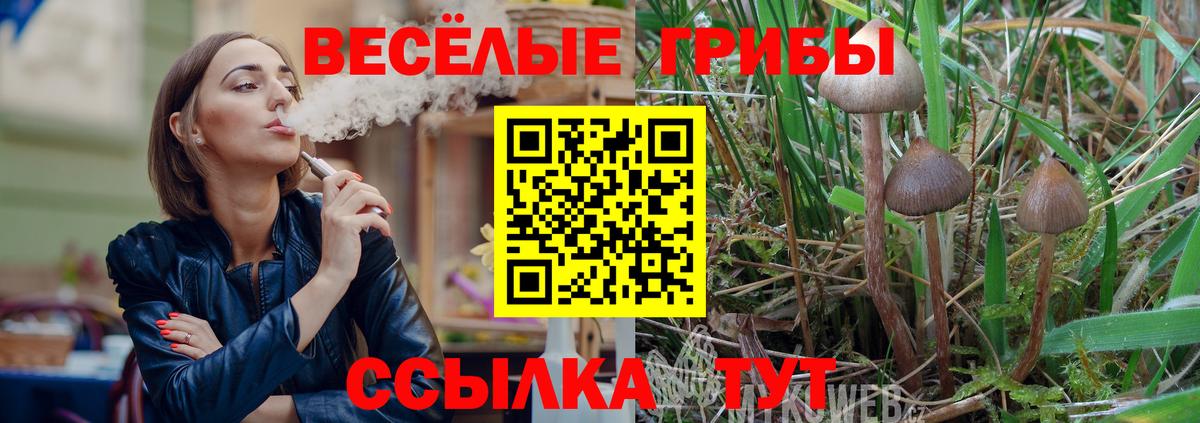 Псилоцибиновые грибы Cubensis  Вход с VPN  Ангарск 